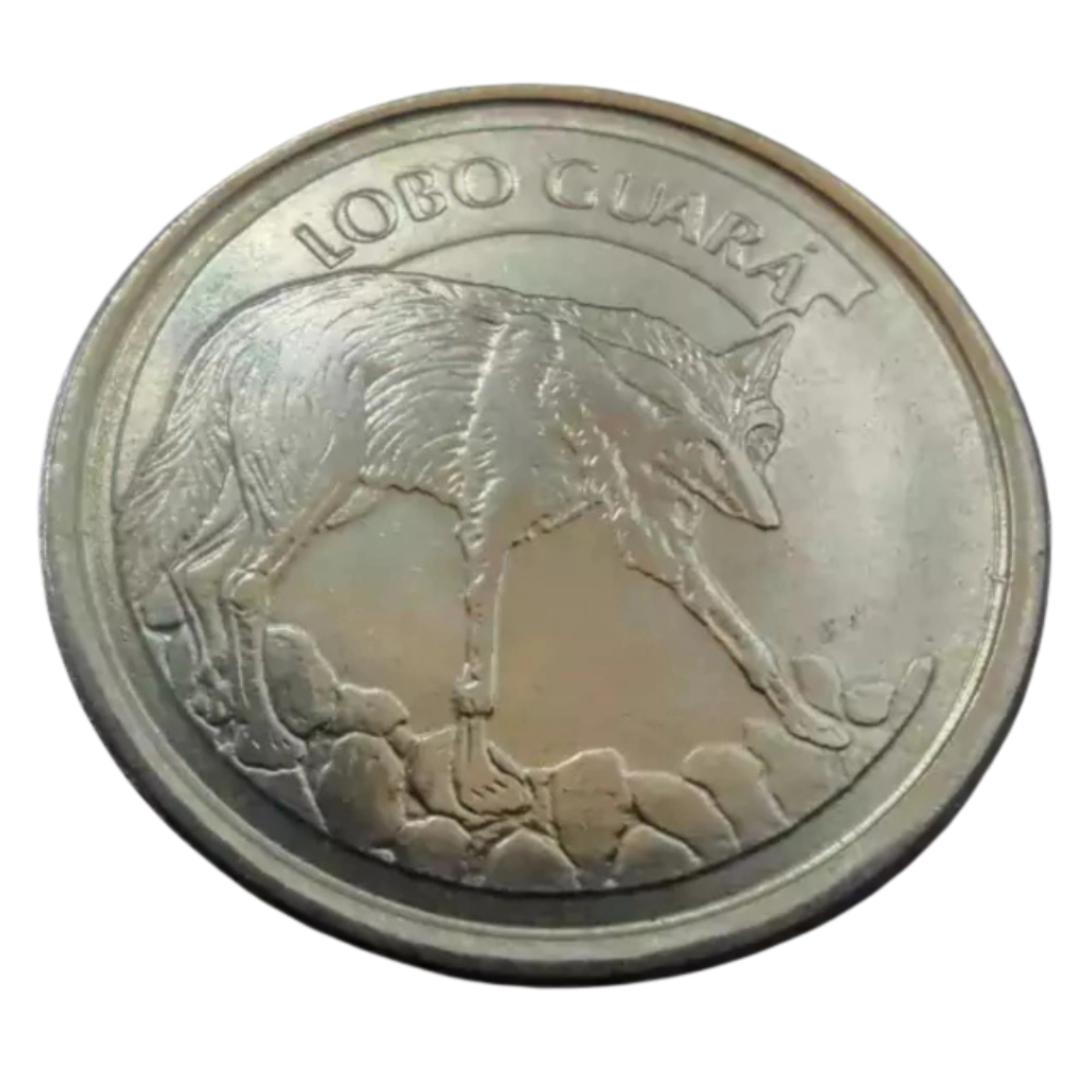 Moeda 100 Cruzeiros Reais 1993 Lobo Guará Brasil - MBC - Imagem 3