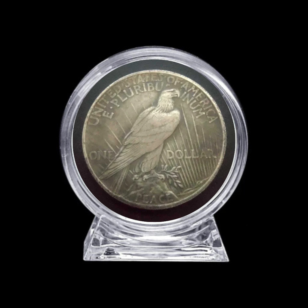 1 Dólar Peace 1969 na cápsula - Imagem 2